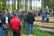 Das Foto zeigt eine Gruppe von Personen unterschiedlichen Alters, die an einer Sammelberatung durch die Forstverwaltung teilnehmen. Die Gruppe steht um einen Holzpolter herum.