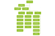 Möglichkeiten als Diagramm in Form von Grünen Kästen, mit Linien verbunden, dargestellt. Im Fokus Forstverwaltung, Regionen und Waldbesitzer