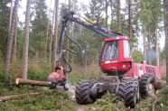 Harvester im Wald