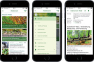 Drei Smartphonebildschirme nebeneineander zeigen beispielhaft Inhalte der neuen App. 