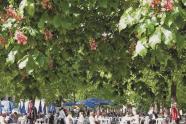 Biergarten mit rosa blühenden Kastanien