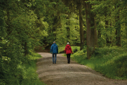 Zwei Menschen gehen auf einem Weg im Wald spazieren.