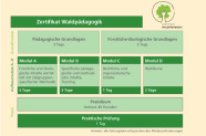 Schaubild: Um das Zertifikat Waldpädagogik zu erwerben, sind verschiedene Schritte notwendig: 1. Grundmodule: 3 Tage pädagogische Grundlagen, 3 Tage ökologische Grundlagen.  2. Aufbaumodule A bis D: - Modul A: forstliche und ökologische Inhalte vermittelt mit zielgruppenspezifischer Methodik (5 Tage);  - Modul B: spezifische pädagogische und methodische Inhalte, Training (3 Tage);  - Modul C: rechtliche und organisatorische Inhalte (1 Tag);  - Modul D: Wahlkurse (3 Tage). 