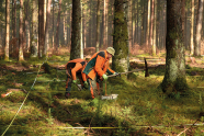 Zwei Männer in Warnkleidung bearbeiten Waldboden mit einer Spitzhacke