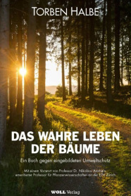 Die Sonne scheint in einen Wald