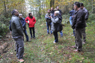 Eine Männergruppe steht um eine Frau herum im Wald.