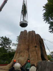 Baum wird durch Kran aufgestellt. Im Vordergrund einige Zuschauer.