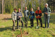 Sechs Männer stehen um einen frisch gepflanzten jungen Baum herum; sie tragen Spaten und Hacken
