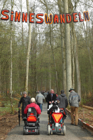 Mehrere Personen und zwei Rollstuhlfahrer bewegen sich auf einem Waldweg.