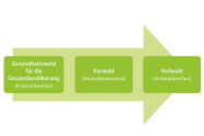 Drei grüne Kästen mit einem grünen Pfeil im Hintergrund, der von links nach rechts deutet. Beschriftung der Kästen (von links nach rechts): Gesundheitswald für die Gesamtbevölkerung (Primärprävention), Kurwald (Sekundärprävention) und Heilwald (Tertiärprävention)