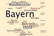 Schlagworte aus LWF-aktuell Ausgaben in unterschiedlichen Schriftgrößen. Die Wörter "Bayern", "Holz", "Waldbesitzer" und "Betrieb" sind die auffälligsten.