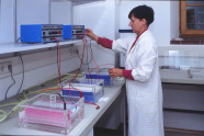 Junge Forscherin steht in weißem Kittel im Labor.