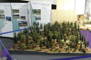 Modell eines Waldes, im Hintergrund Stellwände mit Text
