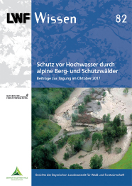 Cover einer Zeitschrift; links mit weißem Streifen, restliches Dreiviertel blau mit Bild von Schlammlawine