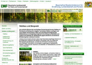 Screenshot vom Internetauftritt der Abteilung Waldbau