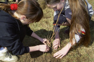 Zwei Mädchen pflanzen einen Baum