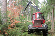 Harvester in mehrschichtigem Bestand beim Umschneiden eines Baumes